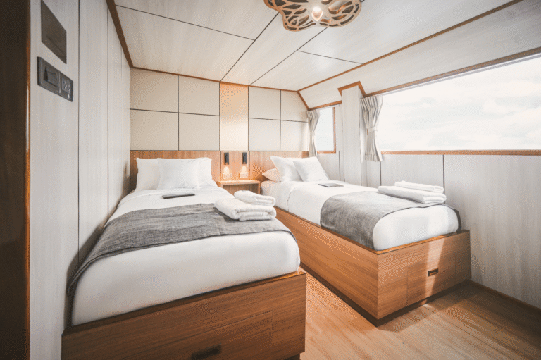 MV Aqua Deluxe Cabin photo