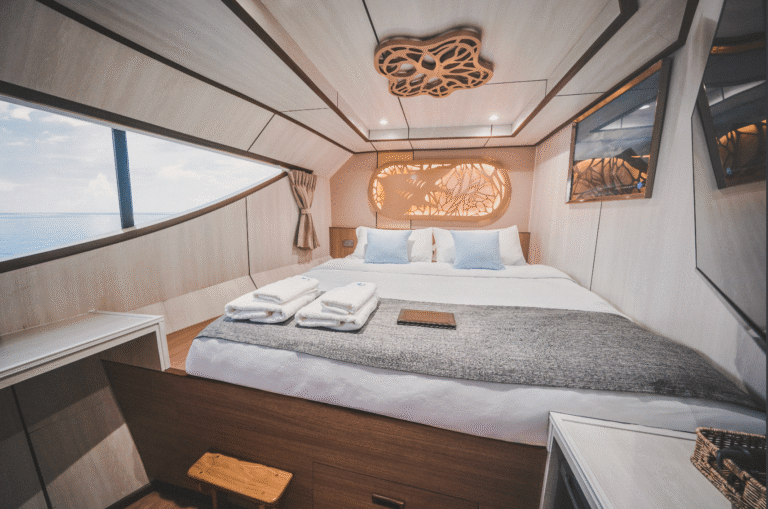 MV Aqua Master Cabin photo