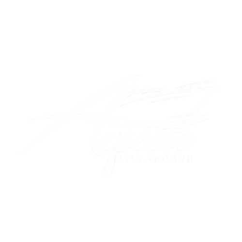 MV Aqua liveaboard logo