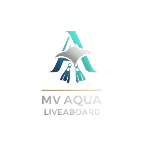 MV Aqua Liveaboard logo