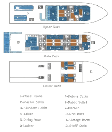 Detailed deck layout of the MV Gentle Giant liveaboard. The Upper Deck features the dining area, saloon, and Master Cabin. The Main Deck houses the dive deck, kitchen, Standard Cabins, and the forward Deluxe Cabin. The Lower Deck contains staff cabins and storage.