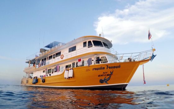 MV Gentle Giant liveaboard