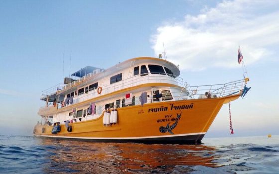 MV Gentle Giant liveaboard
