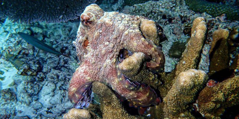 line_oa_chat_240627_003950_group_3