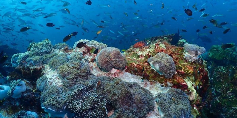 line_oa_chat_240627_003950_group_7